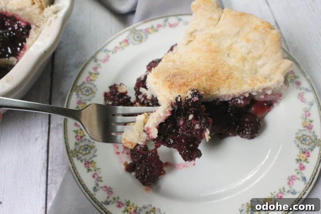 Ultimate Deep-Dish Blackberry Pie Recipe for Perfect Crust 6 This deep dish blackberry pie is chock full of bursting berries--it's the perfect way to harness the sweetness of summer's berry bounty!