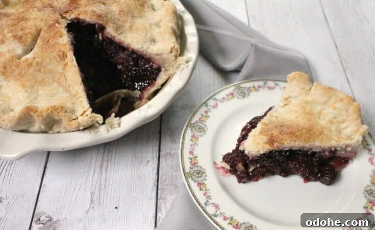 This deep dish blackberry pie is chock full of bursting berries--it's the perfect way to harness the sweetness of summer's berry bounty!
