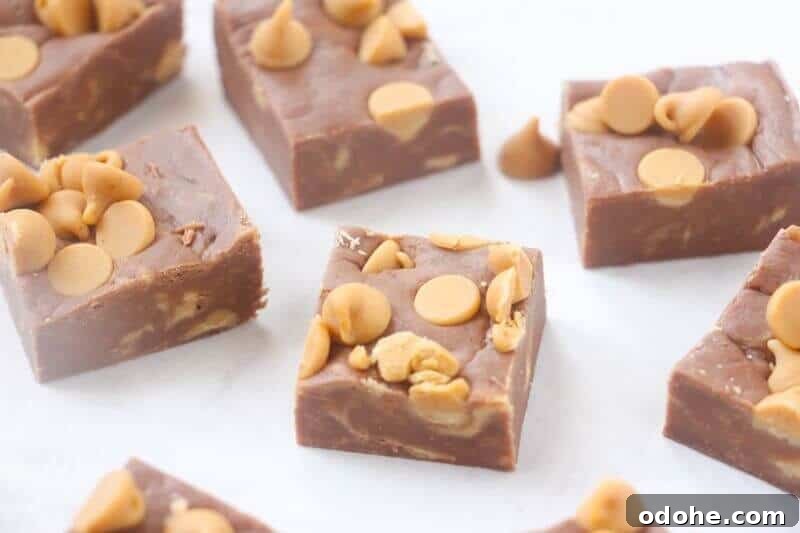 Chocolate peanut butter fudge with peanut butter chips.