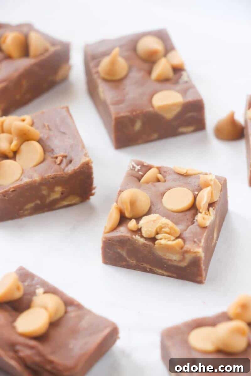 Easy chocolate peanut butter fudge with peanut butter chips sliced into bite-sized squares.