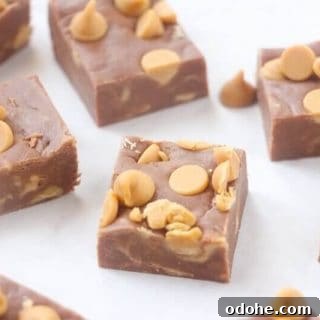 Easy chocolate peanut butter fudge cut in squares.