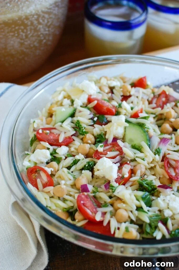Assorted summer salads