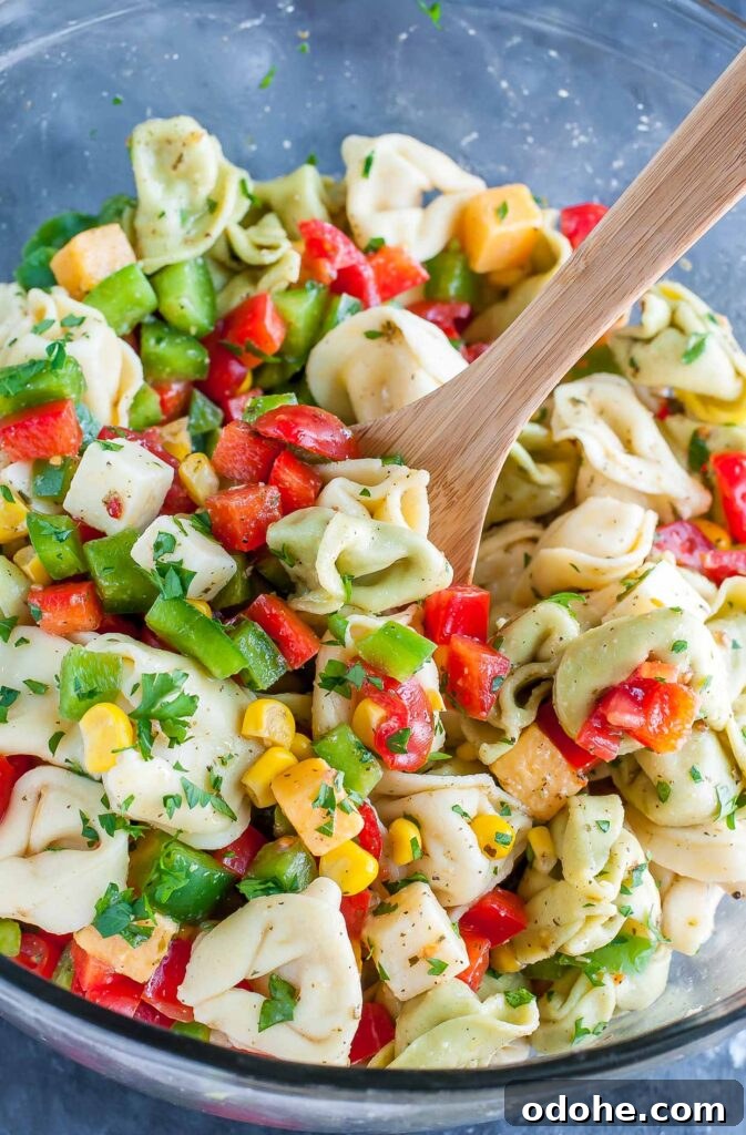 Zucchini chickpea quinoa salad