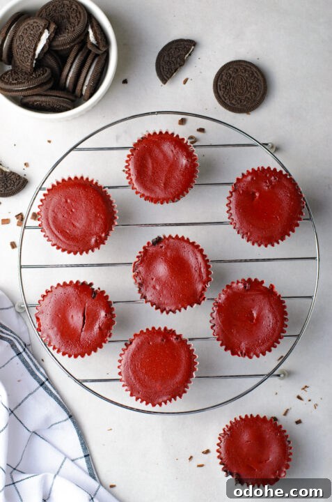 Mini Red Velvet Oreo Cheesecake Bites for Parties 14 img 24516 13