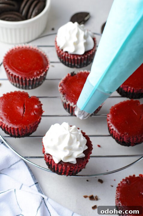 Mini Red Velvet Oreo Cheesecake Bites for Parties 15 img 24516 14