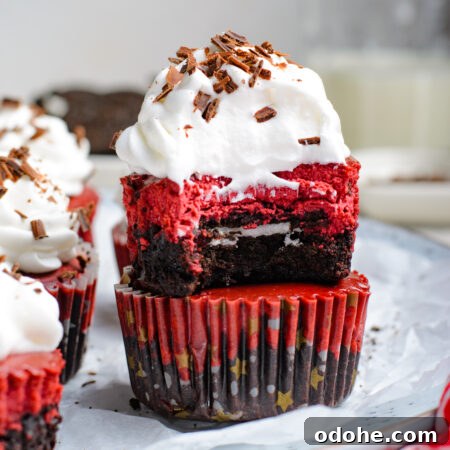 Mini Red Velvet Oreo Cheesecake Bites for Parties 21 img 24516 20