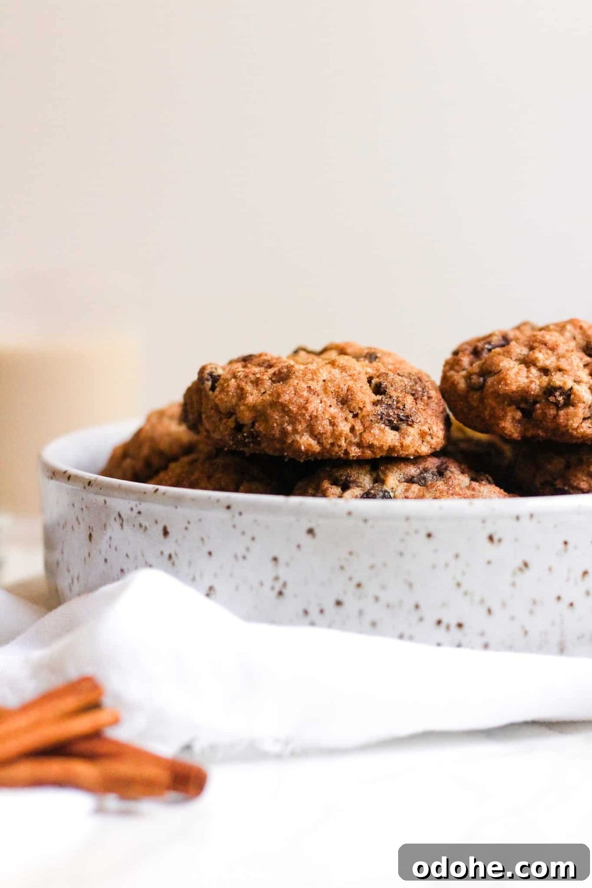 Pottery Bowl of Healthy Cookies with Oats, Cinnamon and Sugar for Food Blog