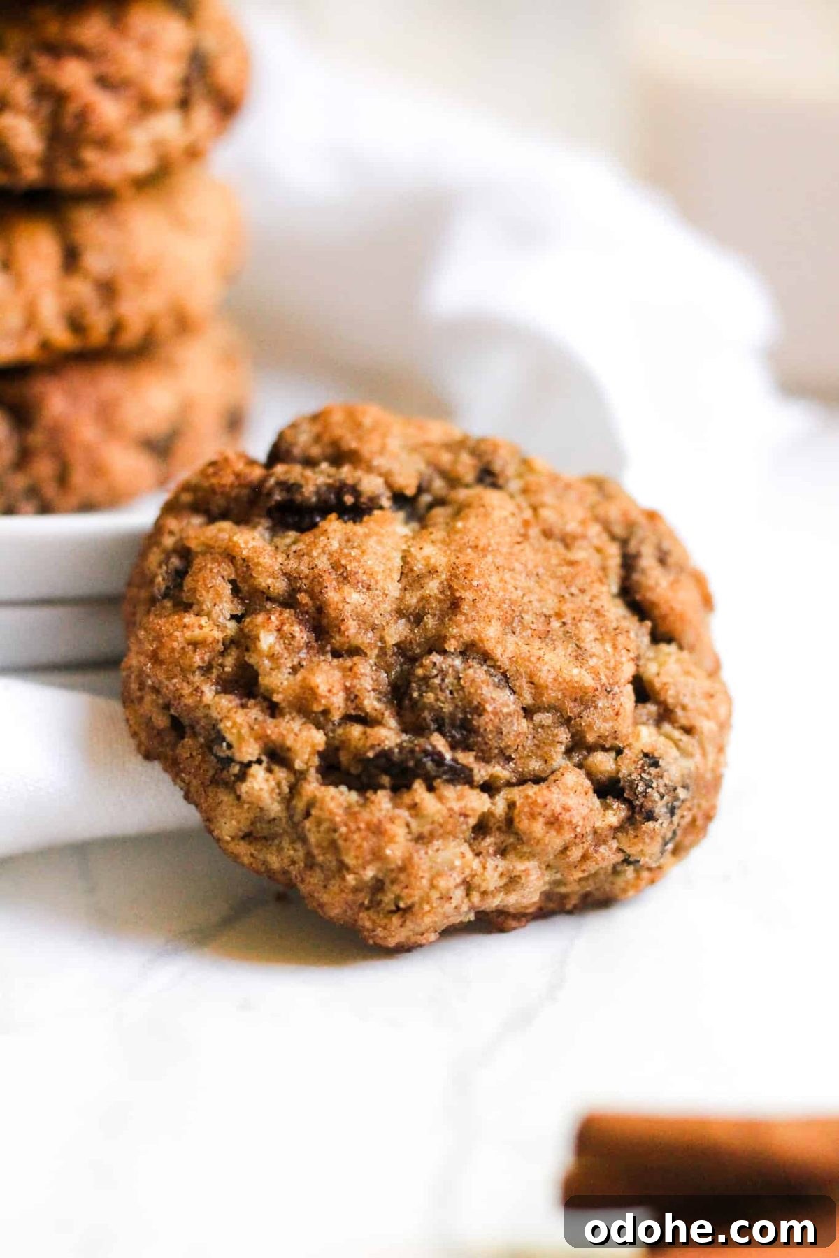 Healthy Cookies with Raisins, Oats, Cinnamon and Sugar for Food Blog