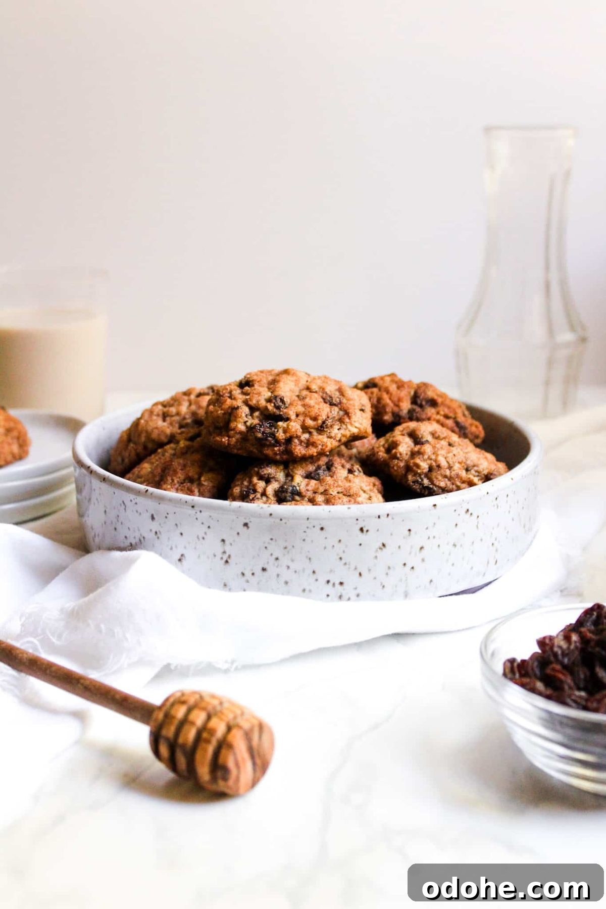 Pottery Bowl of Healthy Cookies with Raisins, Oats, Cinnamon and Sugar for Food Blog