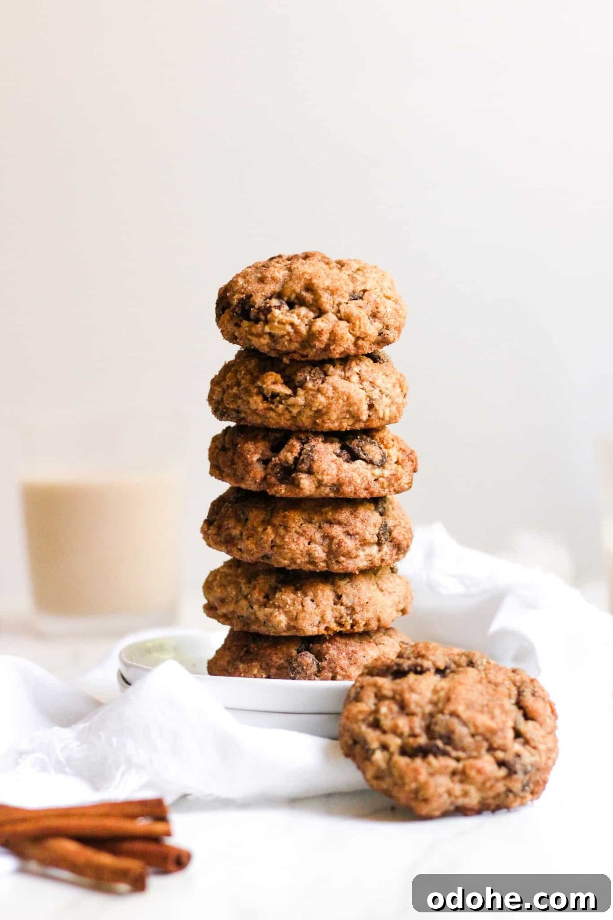 Stack of Healthy Cookies with Raisins, Oats, Cinnamon and Sugar for Food Blog