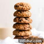 Stack of Healthy Cookies with Raisins, Oats, Cinnamon and Sugar for Food Blog