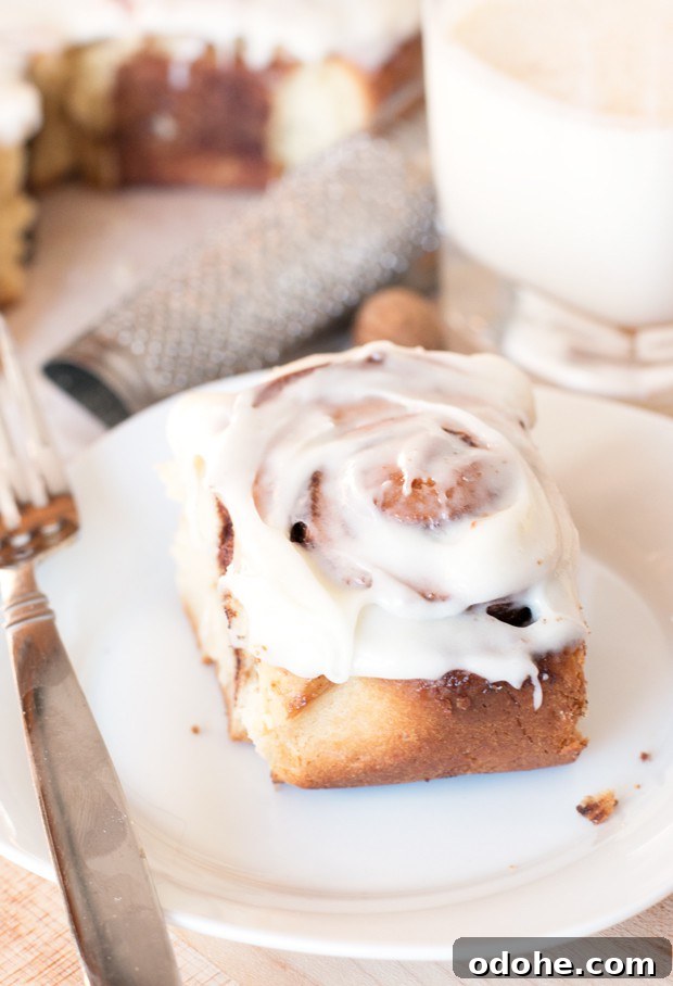Egg Nog Cinnamon Rolls | cakenknife.com