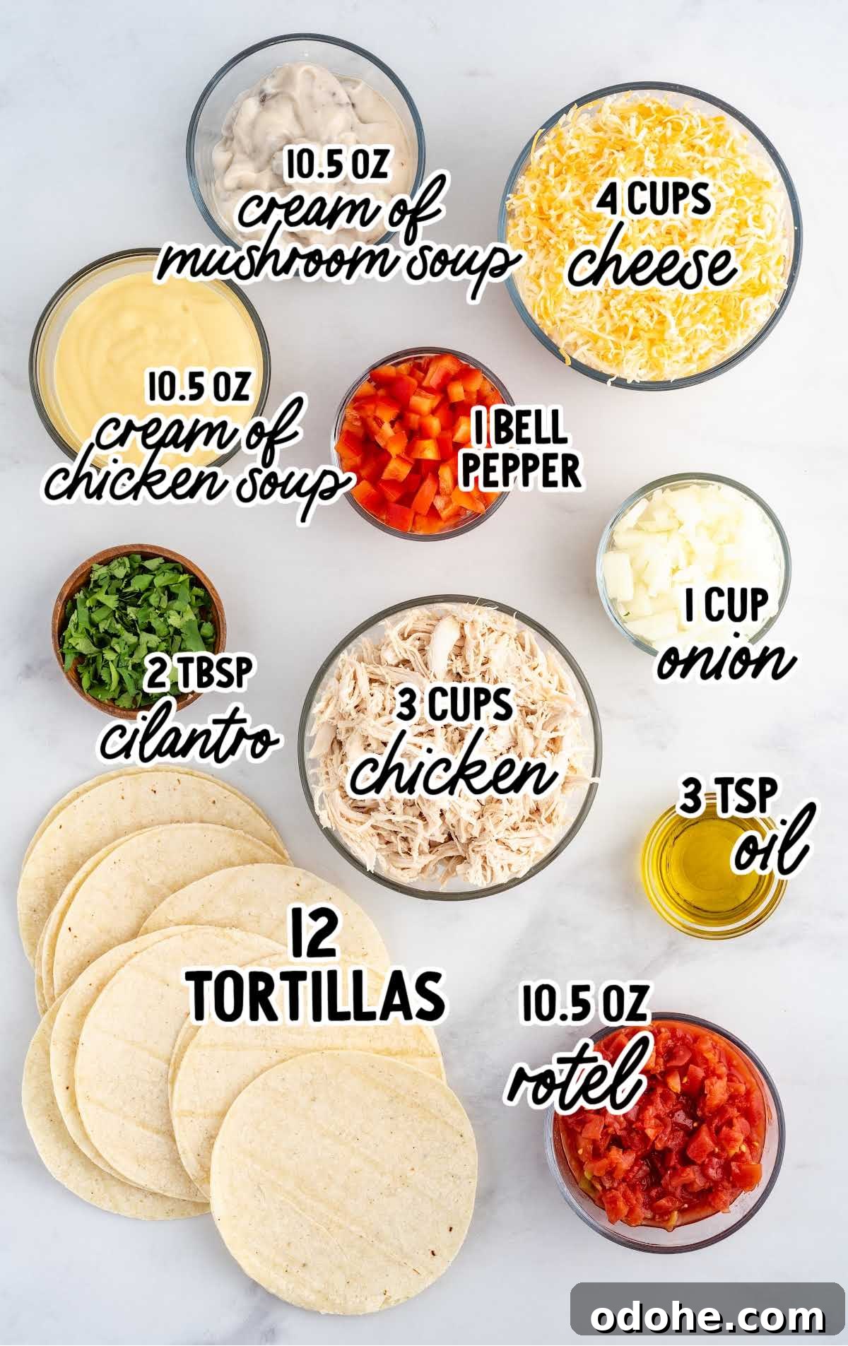 King Ranch Chicken Casserole raw ingredients that are labeled