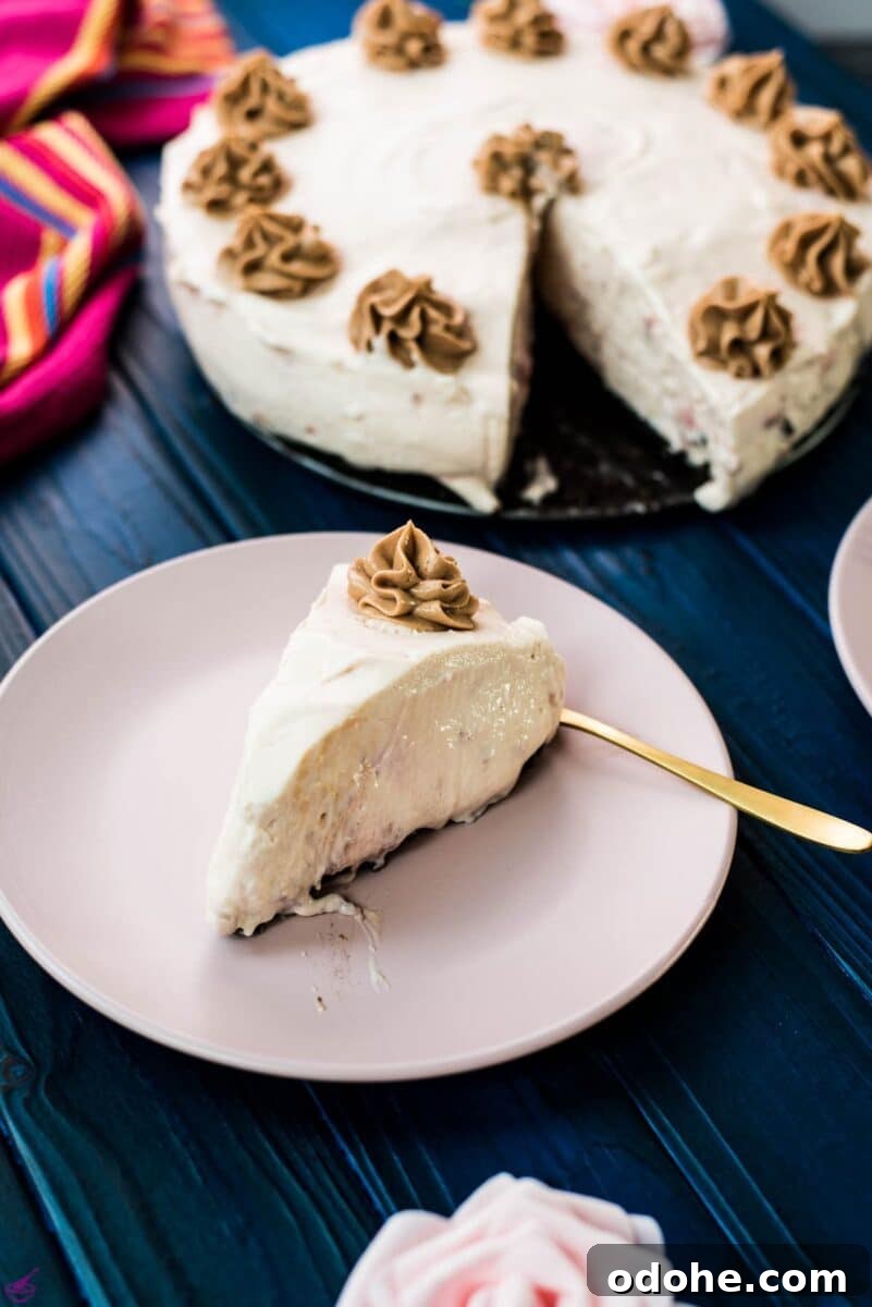 Creamy No-Bake Strawberry Cheesecake Recipe for Summer Serving 2 A delicious slice no bake strawberry cheesecake with Oreo walnut crust.