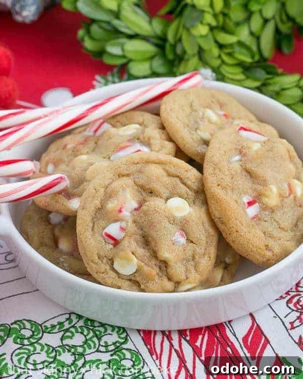 White Chocolate and Candy Cane Cookies 2 White Chocolate Candy Cane Cookies | A chewy, buttery cookie filled with white chocolate chips and crushed candy canes