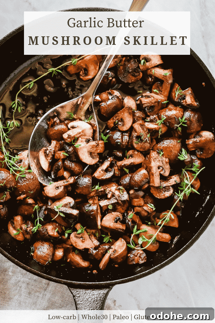 Garlic Butter Mushrooms Skillet Recipe for Weeknight Dinner 5 Easy Garlic Butter Mushroom Skillet