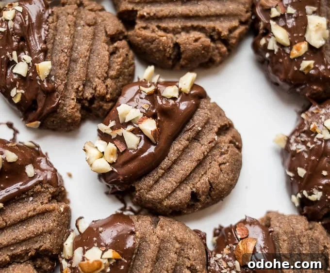 Chocolate-Dipped Hazelnut Teff Cookies (gluten-free, vegan) | saltedplains.com