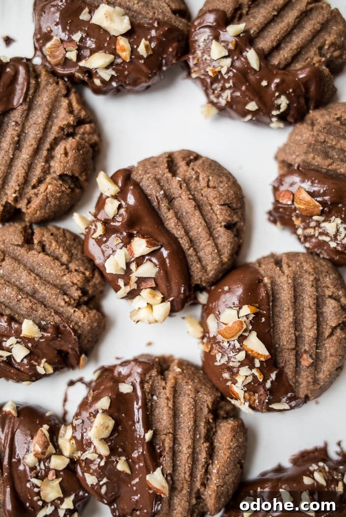 Chocolate-Dipped Hazelnut Teff Cookies Recipe 11 Chocolate-Dipped Hazelnut Teff Cookies (gluten-free, vegan) | saltedplains.com