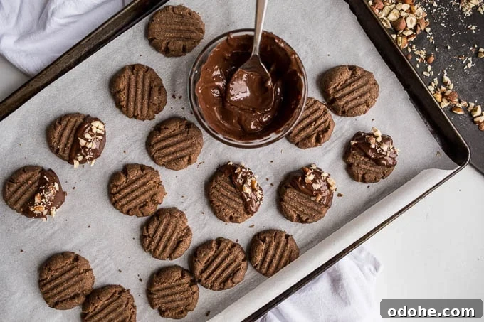 Chocolate-Dipped Hazelnut Teff Cookies Recipe 7 Chocolate-Dipped Hazelnut Teff Cookies (gluten-free, vegan) | saltedplains.com