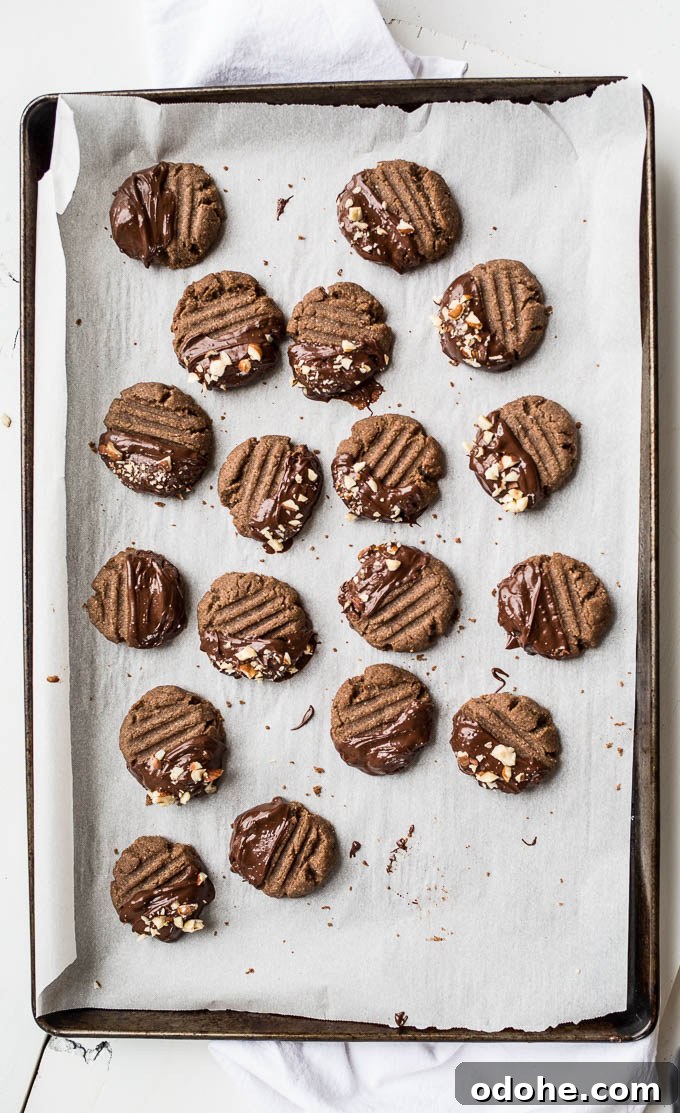 Chocolate-Dipped Hazelnut Teff Cookies Recipe 8 Chocolate-Dipped Hazelnut Teff Cookies (gluten-free, vegan) | saltedplains.com