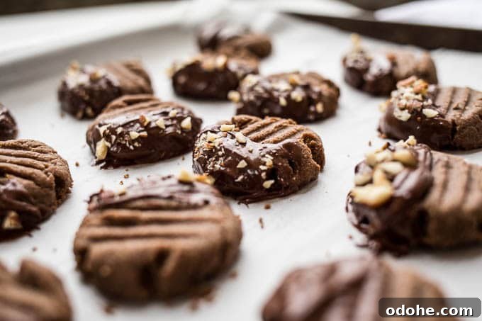 Chocolate-Dipped Hazelnut Teff Cookies (gluten-free, vegan) | saltedplains.com