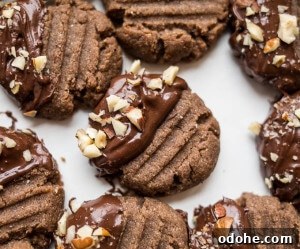 Chocolate-Dipped Hazelnut Teff Cookies Recipe 10 img 2680 9