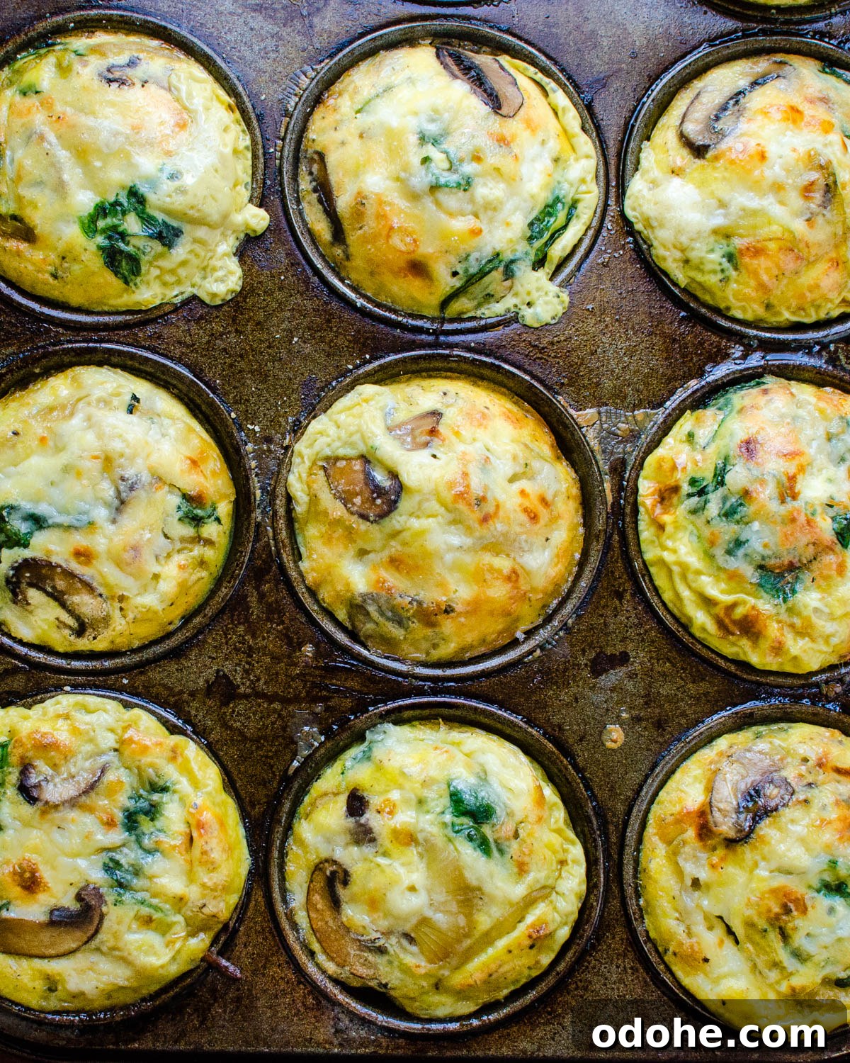 Spinach and Mushroom Mini Frittatas for Quick Breakfasts 7 Baked Mushroom Spinach Frittatas in a muffin tin.