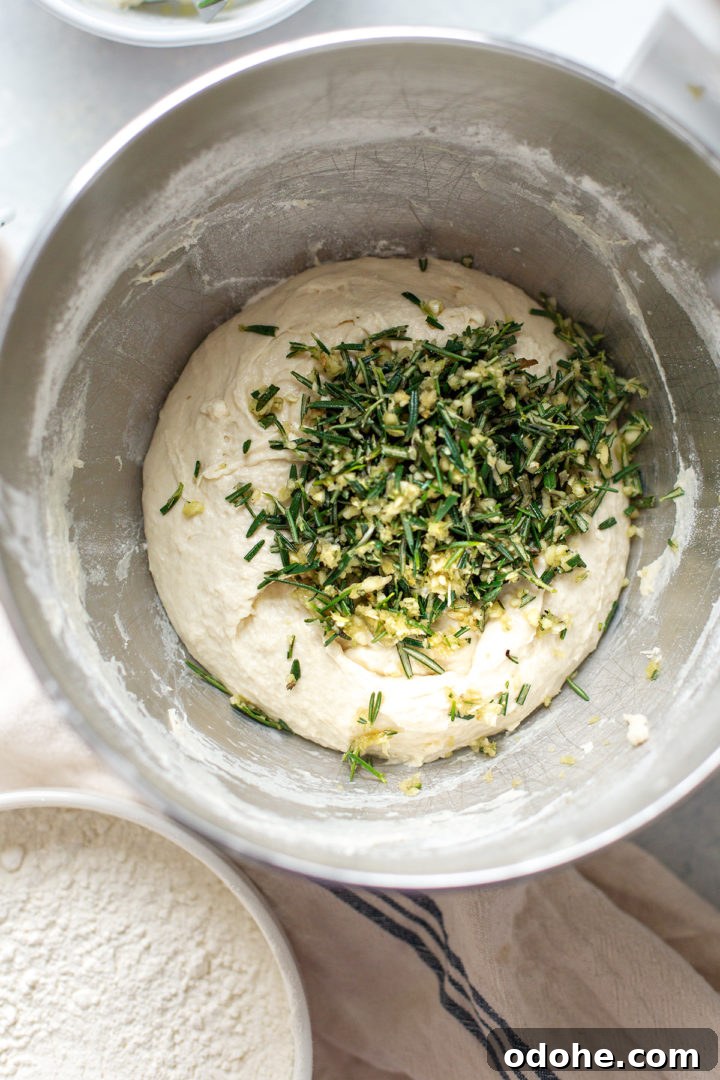 Rustic Rosemary Garlic Bread Recipe — Crispy, Flavorful Loaf 6 Loaves ready to bake