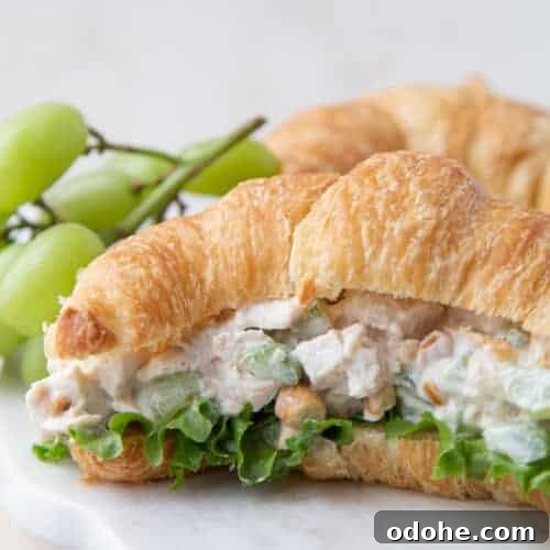 chicken salad with grapes on a croissant.
