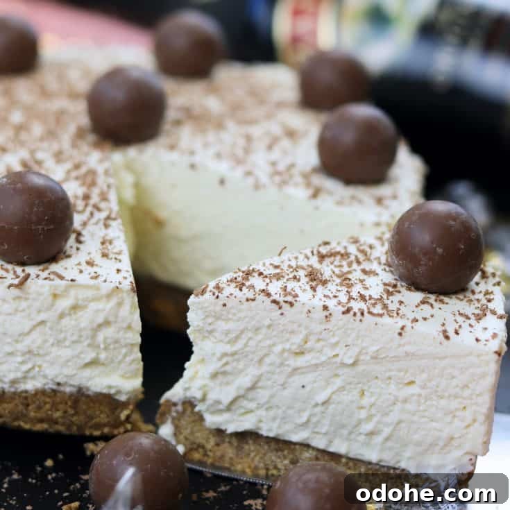 no bake baileys cheesecake