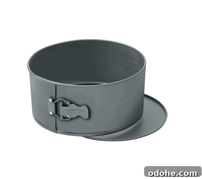 20cm Springform Tin