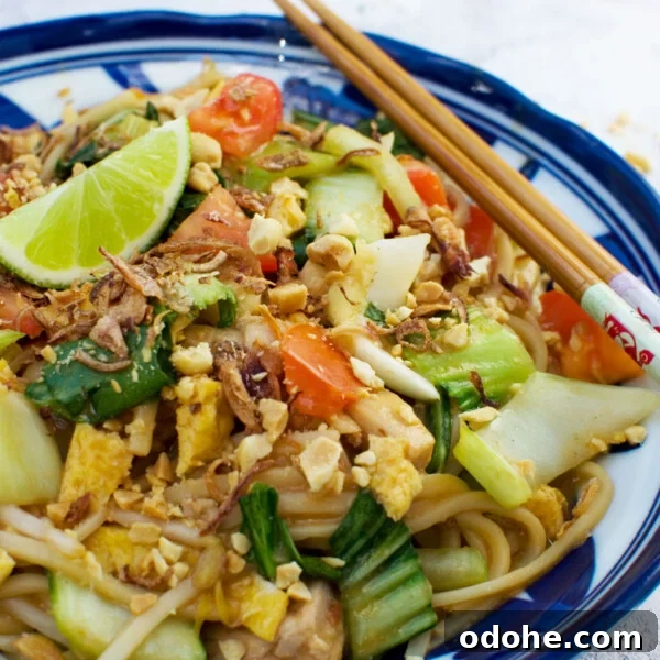 Spicy Thai Peanut Chicken Thighs with Sticky Glaze 11 Mee goreng spicy Indonesian noodles