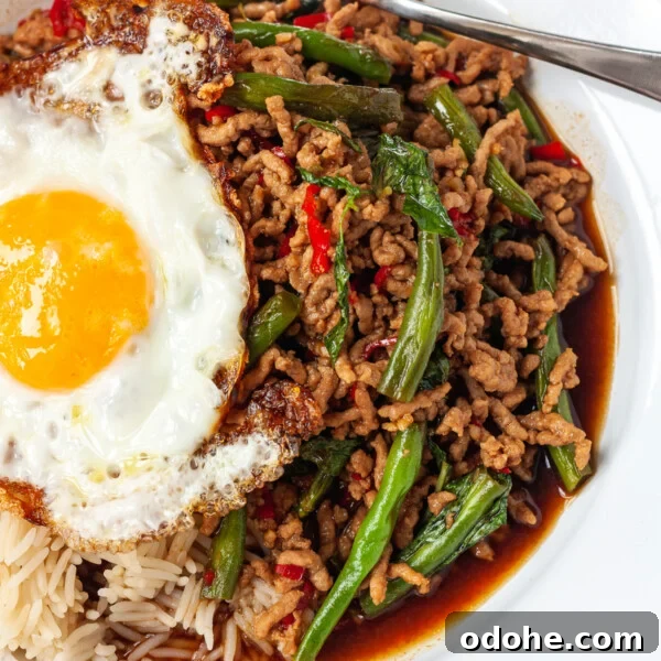 Spicy Thai Peanut Chicken Thighs with Sticky Glaze 8 Thai basil pork with rice and an egg