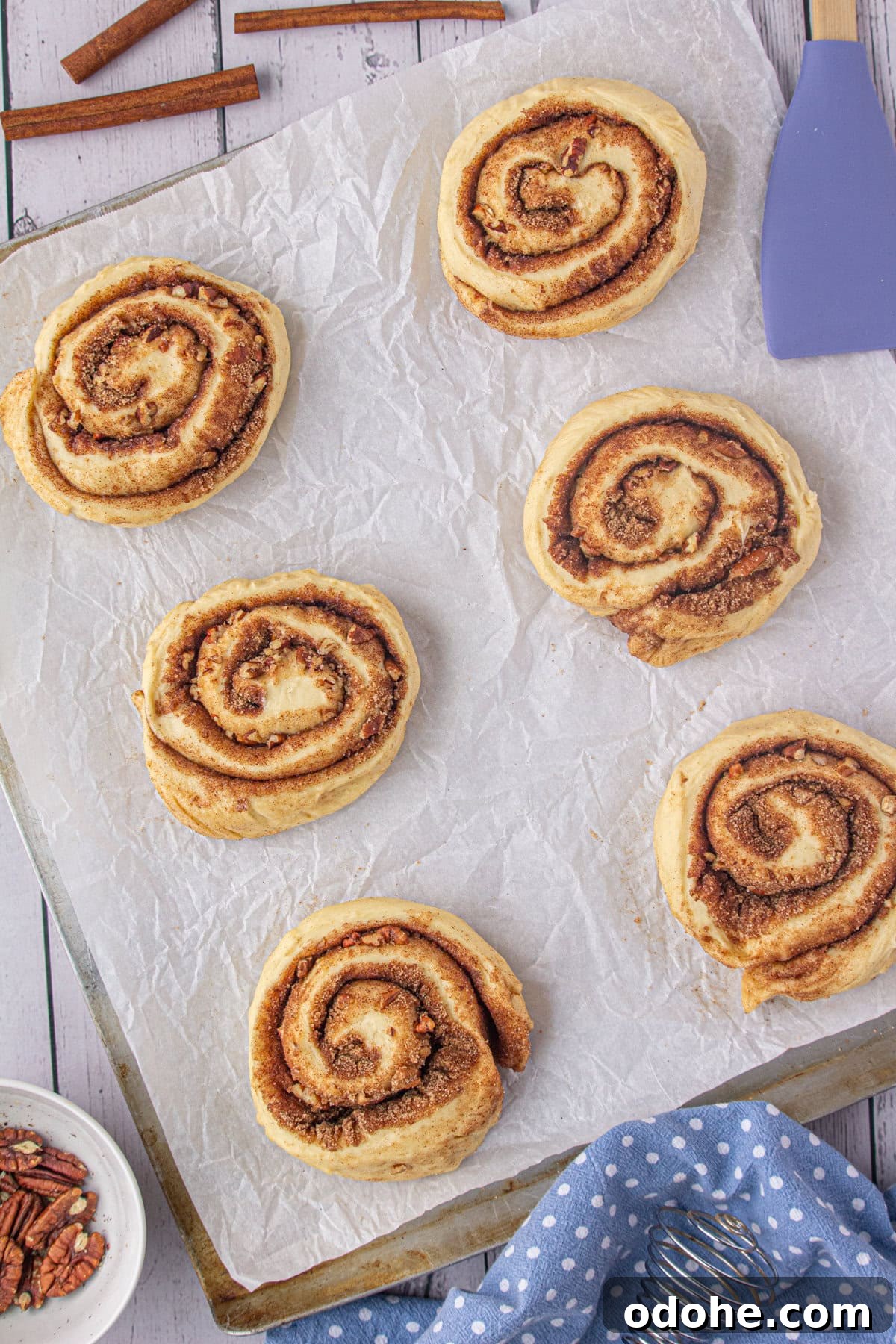 Giant Texas-Style Cinnamon Rolls: Soft, Gooey, Oversized Treat 11 Cinnamon rolls rising.