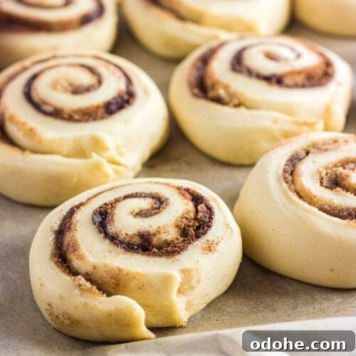 Closeup of unbaked cinnamon rolls.