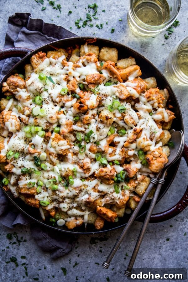 Thai Chicken Totchos: Spicy Peanut Sauce Nacho Bites 16 thai chicken totchos www.climbinggriermountain.com
