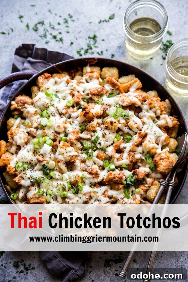 Thai Chicken Totchos: Spicy Peanut Sauce Nacho Bites 8 www.climbinggriermountain.com