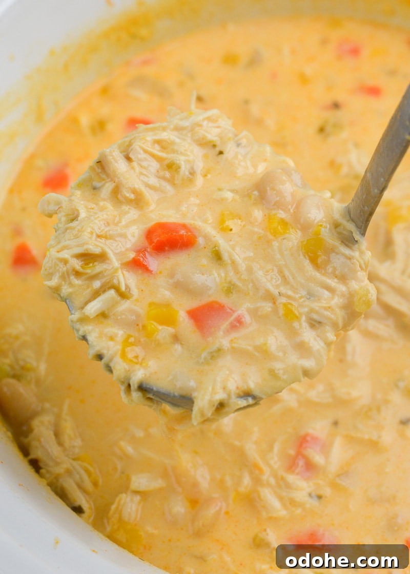 Slow Cooker Buffalo Chicken Chili Recipe for Game Day 5 This Slow Cooker Buffalo Chicken Chili is loaded with shredded chicken, white beans, vegetables, sharp cheddar cheese and tangy buffalo sauce!