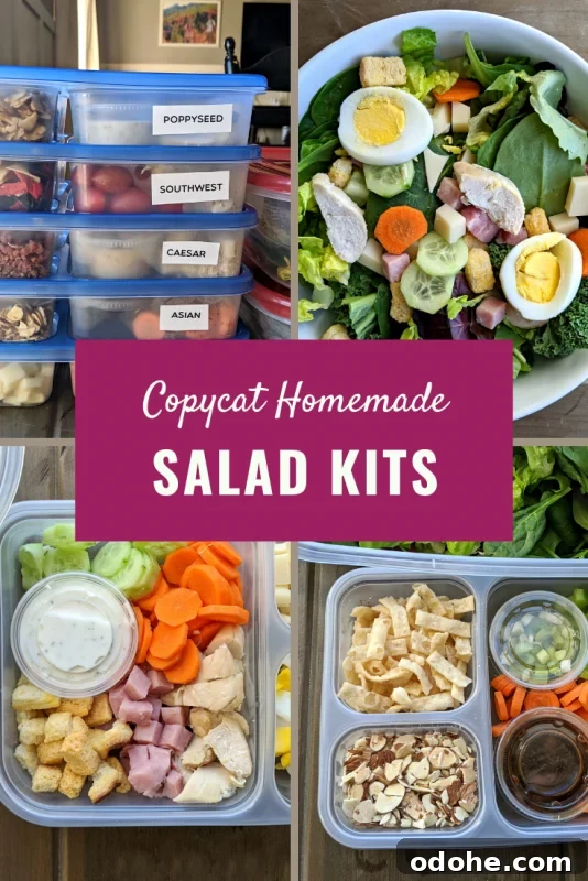 Make-At-Home Salad Kit Recipe: DIY Restaurant-Style Kits 2 homemade salad kits