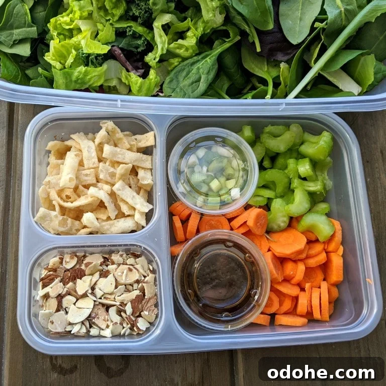 Make-At-Home Salad Kit Recipe: DIY Restaurant-Style Kits 11 img 3214 10