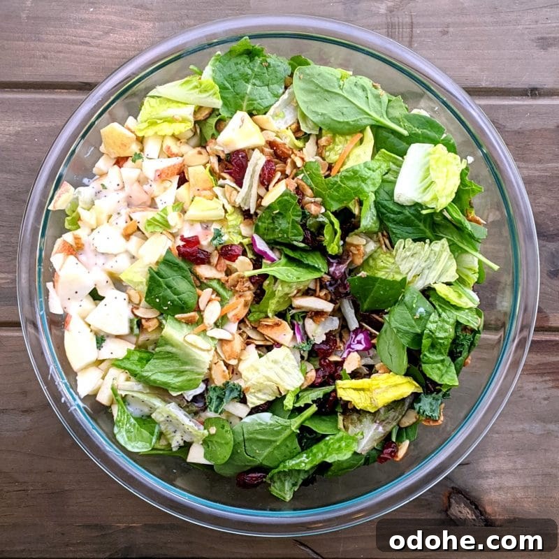 Make-At-Home Salad Kit Recipe: DIY Restaurant-Style Kits 12 img 3214 11