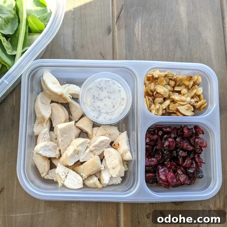 Make-At-Home Salad Kit Recipe: DIY Restaurant-Style Kits 13 img 3214 12