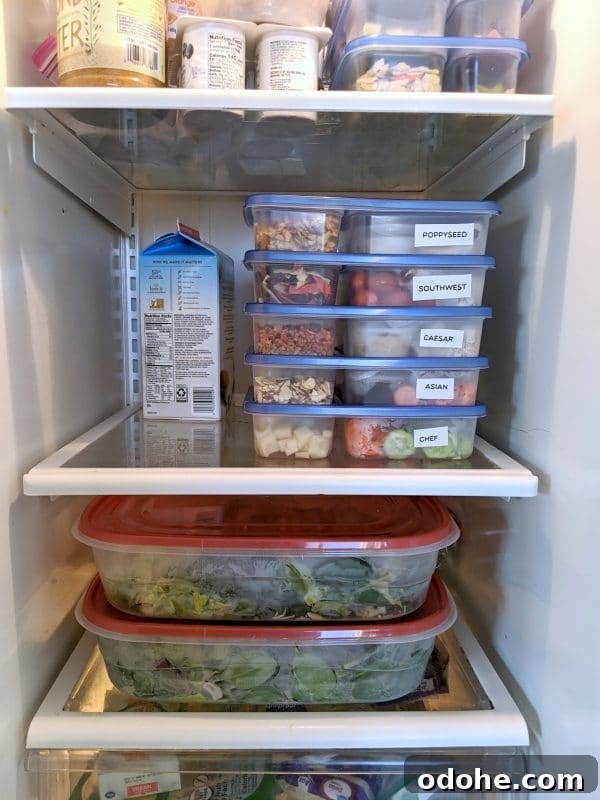 Make-At-Home Salad Kit Recipe: DIY Restaurant-Style Kits 14 img 3214 13