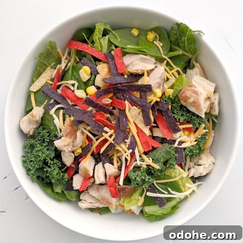 Make-At-Home Salad Kit Recipe: DIY Restaurant-Style Kits 6 southwest salad