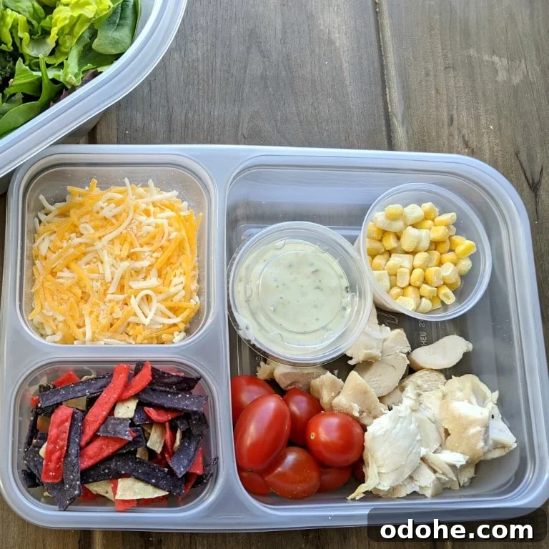 Make-At-Home Salad Kit Recipe: DIY Restaurant-Style Kits 7 img 3214 6