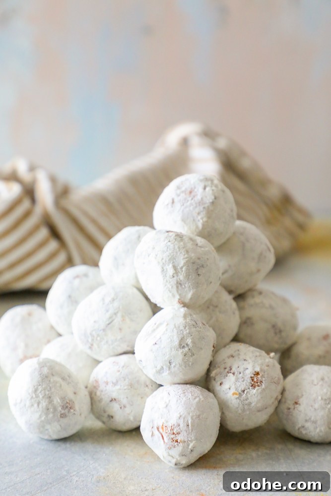 pile of powdered sugar donut holes