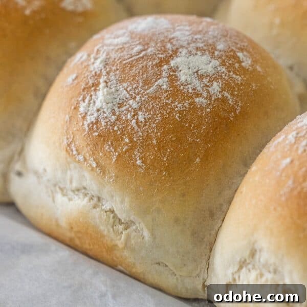 Close-up of freshly baked Scottish Morning Rolls with a light dusting of flour on top, arranged closely together.