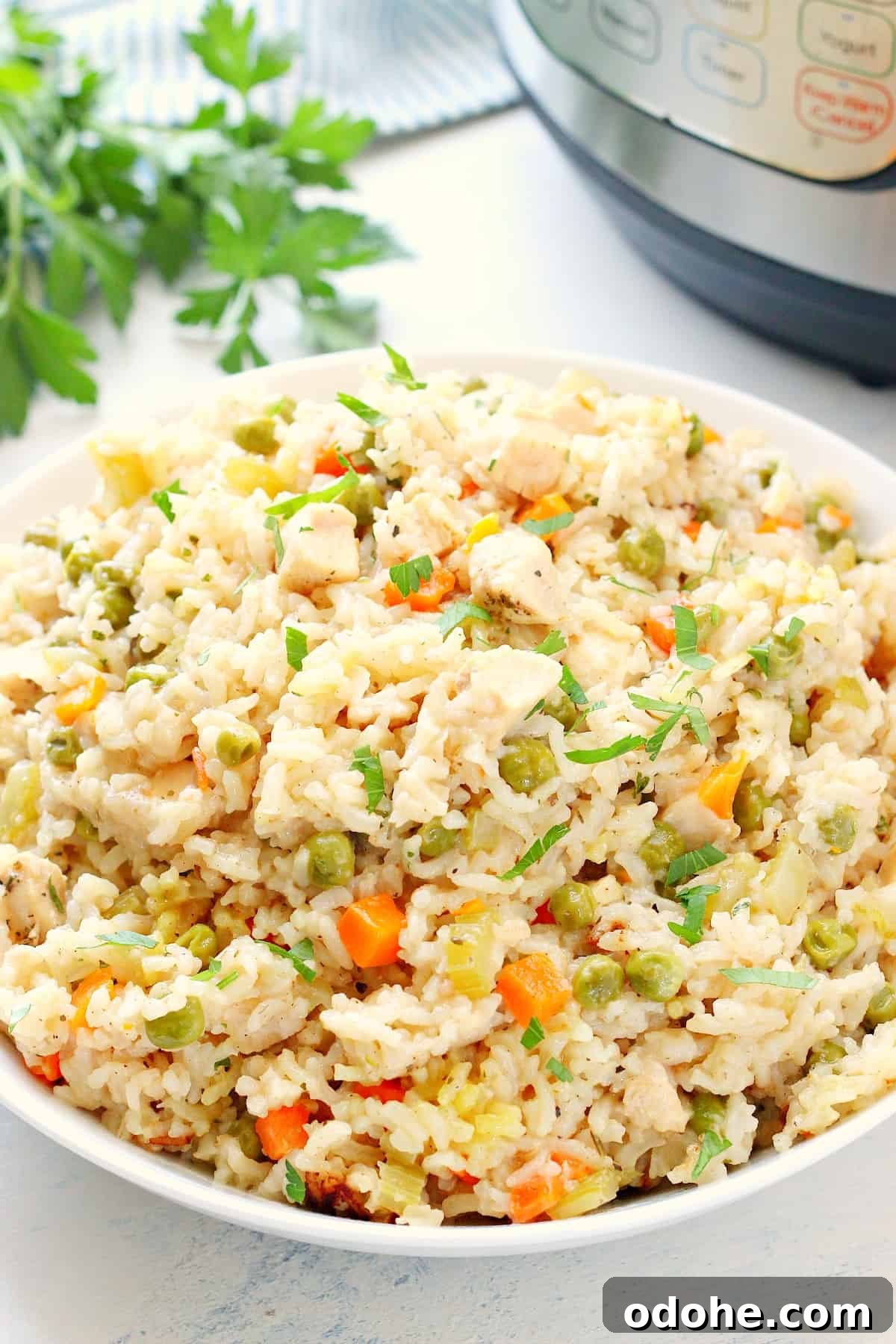 Chicken and rice in a bowl next to Instant Pot.