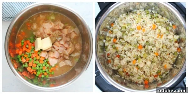 Chicken, rice, veggies and water in Instant Pot.