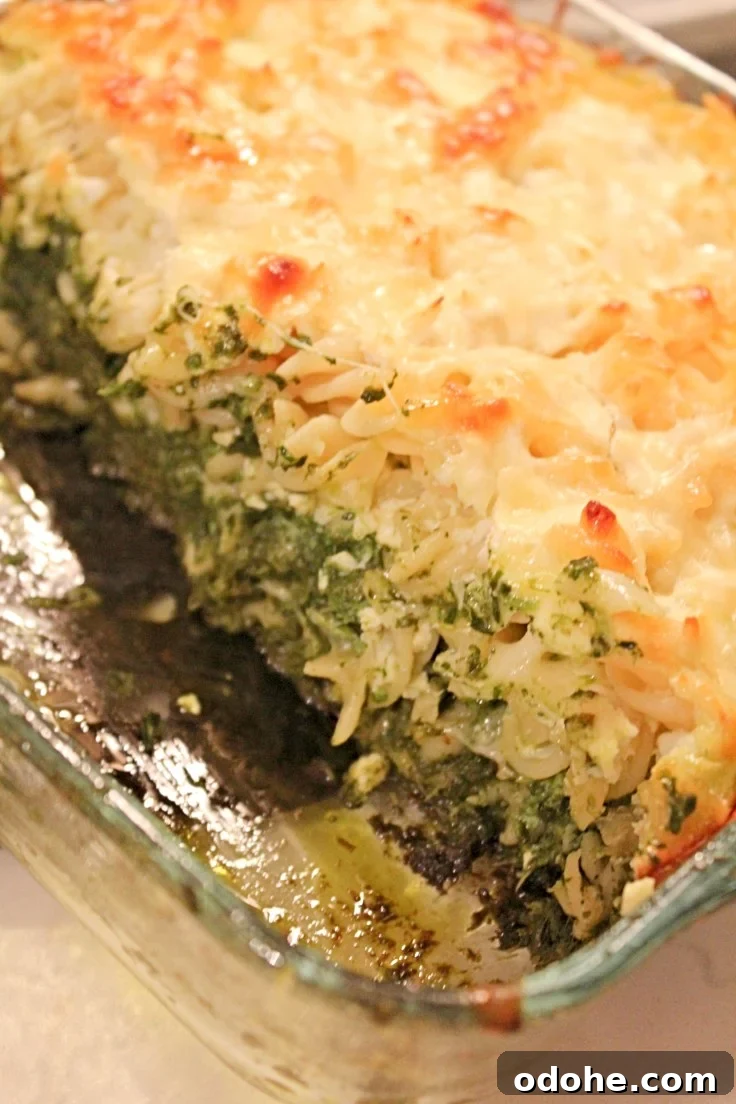 Cheesy Spinach Pasta Bake with Golden Crust 2 Spinach pasta recipe